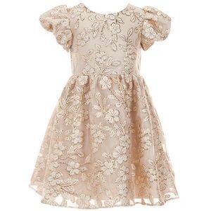 Puff Sleeve Floral Organza Fit & Flare Dress New Year’s Party 2T